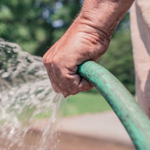 VI Congreso de la Red de Investigadores Sociales Sobre el Agua